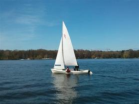 Foto: Blaufußtölpel beim Ansegeln