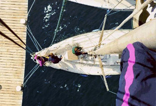 Foto: STROPP IV von oben