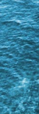 Foto: Wasserfläche