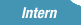 Intern