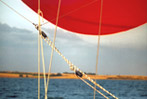Foto: Seereise 2001