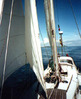 Foto: Stropp von vorn
